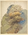 Study of a tree, George Richmond British, Watercolor