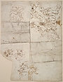 Sketches for Compositions and Groups of Figures (recto and verso), Circle of Paolo Veronese (Paolo Caliari) (Italian, Verona 1528–1588 Venice), Pen and brown ink, brush and brown wash