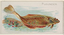 Flounder, from the Fish from American Waters series (N8) for Allen & Ginter Cigarettes Brands, Allen & Ginter  American, Commercial color lithograph