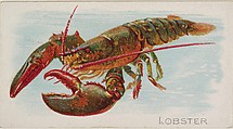 Lobster, from the Fish from American Waters series (N8) for Allen & Ginter Cigarettes Brands, Allen & Ginter American, Commercial color lithograph