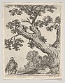 A large tree at right, a man on horseback at left, seen from behind riding towards the left, plate 18 from "Various figures and doodles" (Diverses figures et griffonnemens), Stefano della Bella  Italian, Etching