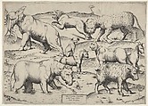 Various Animals, Anonymous, Italian, 16th century  Italian, Engraving