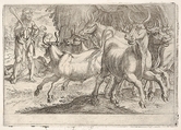 Hercules and the Oxen of Geryones: with a club raised by his right hand, Hercules confronts a group of galloping oxen, from "The Labors of Hercules", Antonio Tempesta  Italian, Etching