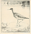 Listening Yellow-legs, Henry Emerson Tuttle  American, Drypoint