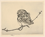 Sleeping Saw-Whet No. 1, Henry Emerson Tuttle  American, Drypoint