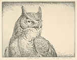 Horned Owl (Portrait Great Horned Owl), Henry Emerson Tuttle  American, Drypoint