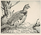 Ruffled Grouse, Henry Emerson Tuttle  American, Drypoint; second state