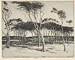 Seaward Pines, Nantucket, Henry Emerson Tuttle  American, Drypoint