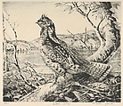 Ruffled Grouse, Henry Emerson Tuttle  American, Drypoint
