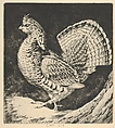 Strutting Cock, Henry Emerson Tuttle  American, Drypoint
