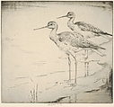 Two Yellow-legs (Wading in), Henry Emerson Tuttle  American, Drypoint