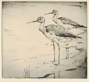 Two Yellow-legs (Wading in), Henry Emerson Tuttle  American, Drypoint