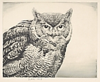 Great Horned Owl, Henry Emerson Tuttle  American, Drypoint