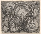 Pomegranate with Tendril, Albrecht Altdorfer  German, Engraving