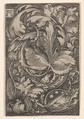 Copy of Leaf Ornament with Lilies of the Valley, Albrecht Altdorfer  German, Engraving