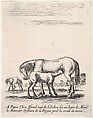 Mare suckling a foal in center, another foal urinating in back left, other horses in the background, from "Various cavalry exercises" (Diverses exercices de cavalerie), Stefano della Bella  Italian, Etching; second state of two