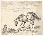 Plate 4: a horse in profile facing the left, about to descend from a mound, a horseman to left in background, from "Diversi Capricci", Stefano della Bella  Italian, Etching; third state of four (De Vesme)