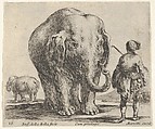 Plate 16: an elephant in center, his mahout standing to the right wearing an Oriental costume, another elephant to left in background, from "Diversi Capricci", Stefano della Bella  Italian, Etching; fourth state of four (De Vesme)