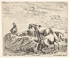 Plate 7: two horses ascending the bank of a river at right, following a procession of horses and one horseman to the left, from "Diversi Capricci", Stefano della Bella  Italian, Etching; third state of four (De Vesme)