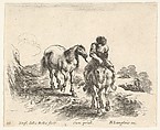 Plate 11: a young horseman, seen from the front, leading another horse, from "Diversi Capricci", Stefano della Bella  Italian, Etching; third state of four (De Vesme)