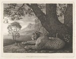 A Tyger (A Recumbent Leopard by a Tree), George Stubbs  British, Etching with roulette work; first and only state