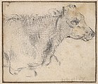 Study of a lying cow, Paulus Potter Dutch, Black chalk; framing line in pen and brown ink, by a later hand
