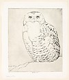 Snowy Owl, Henry Emerson Tuttle  American, Drypoint