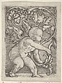 Vertical Panel with Cupid Holding the End of a Plant Sprouting Tendrils, Jacob Binck  German, Engraving