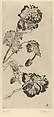 Flowers (Fleurs), from "L'Estampe Originale", Ernest-Ange Duez  French, Drypoint