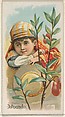 Avocado, from the Fruits series (N12) for Allen & Ginter Cigarettes Brands, Allen & Ginter American, Commercial color lithograph