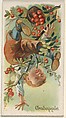 Crabapple, from the Fruits series (N12) for Allen & Ginter Cigarettes Brands, Allen & Ginter American, Commercial color lithograph