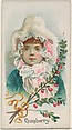 Cranberry, from the Fruits series (N12) for Allen & Ginter Cigarettes Brands, Allen & Ginter American, Commercial color lithograph