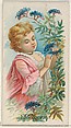 Elderberry, from the Fruits series (N12) for Allen & Ginter Cigarettes Brands, Allen & Ginter American, Commercial color lithograph
