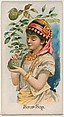 Sour Sop, from the Fruits series (N12) for Allen & Ginter Cigarettes Brands, Allen & Ginter American, Commercial color lithograph