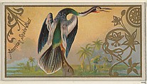 American Snake Bird, from the Game Birds series (N13) for Allen & Ginter Cigarettes Brands, Allen & Ginter  American, Commercial color lithograph