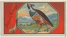 California Partridge, from the Game Birds series (N13) for Allen & Ginter Cigarettes Brands, Allen & Ginter  American, Commercial color lithograph