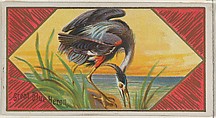 Great Blue Heron, from the Game Birds series (N13) for Allen & Ginter Cigarettes Brands, Allen & Ginter American, Commercial color lithograph