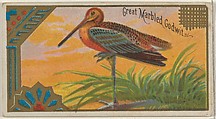 Great Marbled Godwit, from the Game Birds series (N13) for Allen & Ginter Cigarettes Brands, Allen & Ginter American, Commercial color lithograph