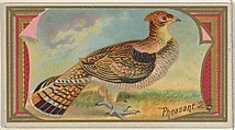 Pheasant, from the Game Birds series (N13) for Allen & Ginter Cigarettes Brands, Allen & Ginter  American, Commercial color lithograph