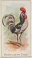 Andalusian Cock, from the Prize and Game Chickens series (N20) for Allen & Ginter Cigarettes, Allen & Ginter  American, Commercial color lithograph