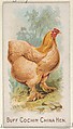 Buff Cochin China Hen, from the Prize and Game Chickens series (N20) for Allen & Ginter Cigarettes, Allen & Ginter  American, Commercial color lithograph