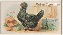 Crève-Cœur Hen, from the Prize and Game Chickens series (N20) for Allen & Ginter Cigarettes, Allen & Ginter  American, Commercial color lithograph