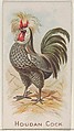 Houdan Cock, from the Prize and Game Chickens series (N20) for Allen & Ginter Cigarettes, Allen & Ginter  American, Commercial color lithograph