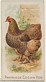 Partridge Cochin Hen, from the Prize and Game Chickens series (N20) for Allen & Ginter Cigarettes, Allen & Ginter  American, Commercial color lithograph