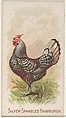 Silver-Spangled Hamburgh, from the Prize and Game Chickens series (N20) for Allen & Ginter Cigarettes, Allen & Ginter  American, Commercial color lithograph
