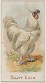 Silky Cock, from the Prize and Game Chickens series (N20) for Allen & Ginter Cigarettes, Allen & Ginter  American, Commercial color lithograph