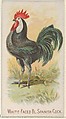 White-Faced Black Spanish Cock, from the Prize and Game Chickens series (N20) for Allen & Ginter Cigarettes, Allen & Ginter  American, Commercial color lithograph