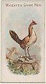 Wheaten Game Hen, from the Prize and Game Chickens series (N20) for Allen & Ginter Cigarettes, Allen & Ginter  American, Commercial color lithograph