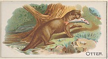 Otter, from the Quadrupeds series (N21) for Allen & Ginter Cigarettes, Allen & Ginter  American, Commercial color lithograph