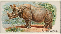 Rhinoceros, from the Quadrupeds series (N21) for Allen & Ginter Cigarettes, Allen & Ginter  American, Commercial color lithograph